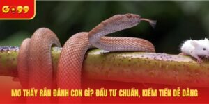 Mơ thấy rắn đánh con gì